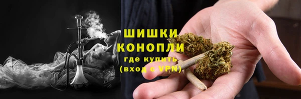 дурь Краснослободск