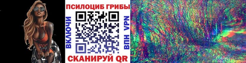 Псилоцибиновые грибы GOLDEN TEACHER  Мелеуз 